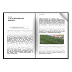 Dans les coulisses du jeu: comment le football est interprété aujourd'hui