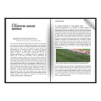 Dentro del juego: Cómo se interpreta el fútbol hoy